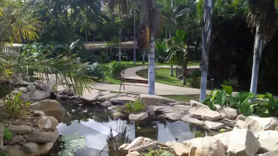 Santa Cruz de Tenerife Palmetum Entry Ticket