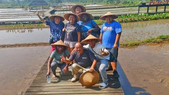 Jakarta Bogor Botanical Garden, Waterfall and Rice Terrace