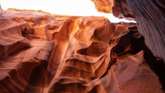 Página: Excursión de senderismo por el Cañón del Antílope X con opción de recorrido fotográfico