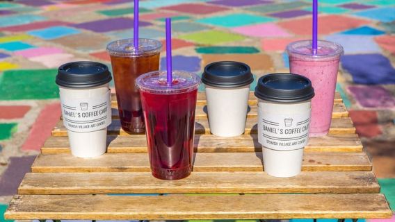 Visite à pied de San Diego : Balboa Park avec un guide local