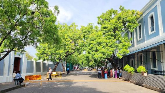 From Chennai: Private Pondicherry & Auroville Day Tour