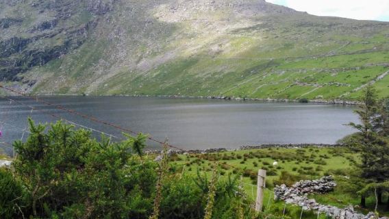 Dari Cork: Tur Sehari Penuh dengan Pemandu di Ring of Kerry & Killarney