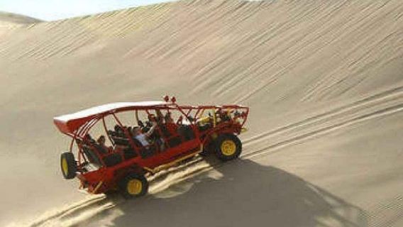 Desde Lima: Excursión de un día a Paracas y el oasis de Huacachina