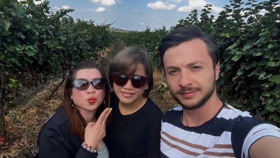 From Tbilisi: Kakheti Wine Tour with Lunch and Tastings