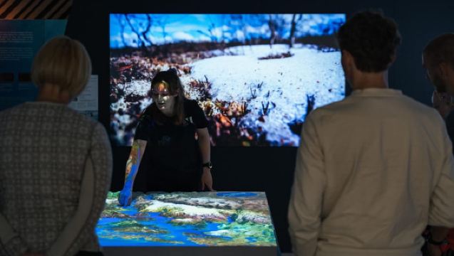 Øystese: Aquaculture Exhibition Guided Tour