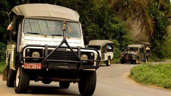 Paraty: Jungle Waterfalls and Cachaça Distillery Jeep Tour