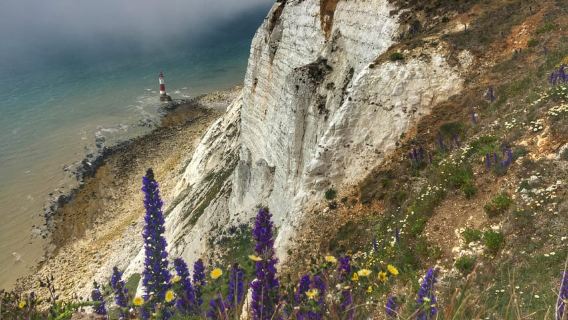 Desde Cambridge: excursión guiada de un día a Brighton y Beachy Head