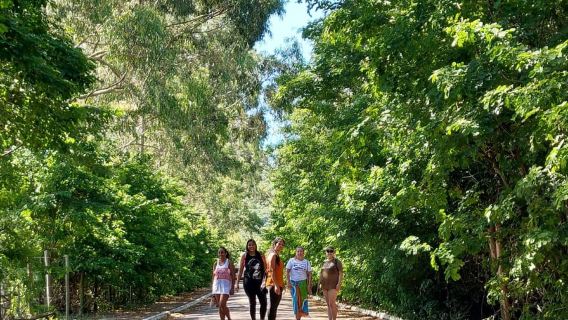 Explore Búzios: Stunning Views on the Emerências Trail