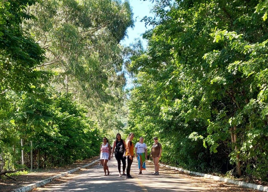 Esplora Búzios: viste mozzafiato sul sentiero Emerências