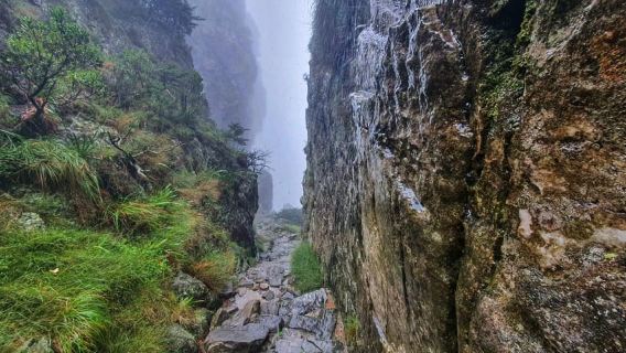 Cape Town: Table Mountain Group Hike via Platteklip Gorge