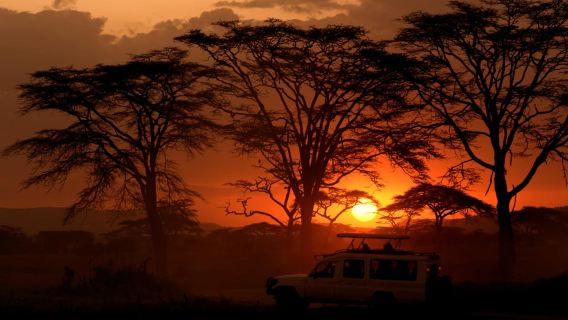 Wildlife Wonders: Safari 3 Hari dari dan ke Pulau Zanzibar.