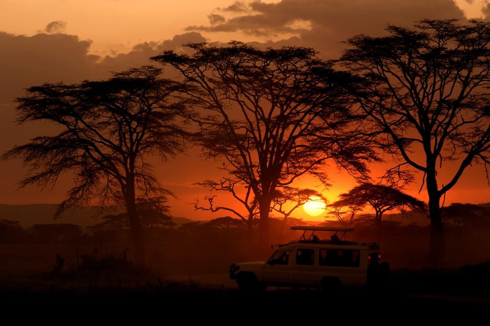 Wildlife Wonders: 3-Day Safari from and to Zanzibar Island.