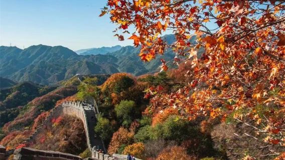 Gubei Water Town + Simatai-Große Mauer Charterfahrt & Privattour für Familien mit Auswahl zwischen Chinesisch, Englisch, Deutsch und Spanisch