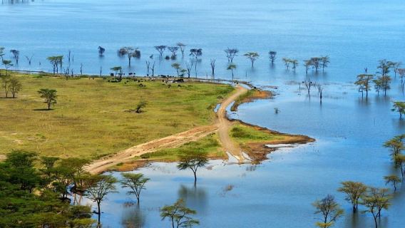 Nairobi: Công viên quốc gia Hồ Nakuru