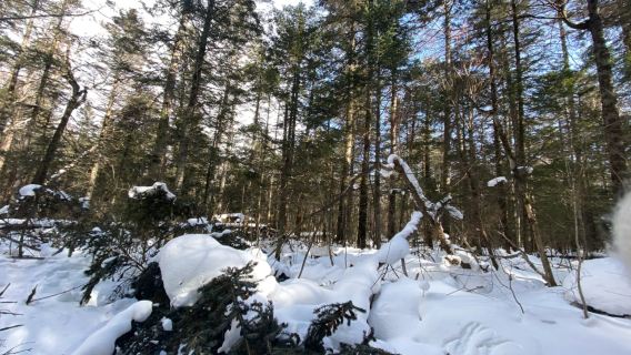 雪天溫泉!長白山北坡景區+皇冠/藍景溫泉1日包車【延吉來回】