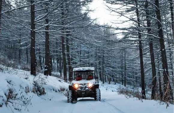 長白山全地形越野車·叢林穿越【穿越林海雪原|領隊教學+指引】