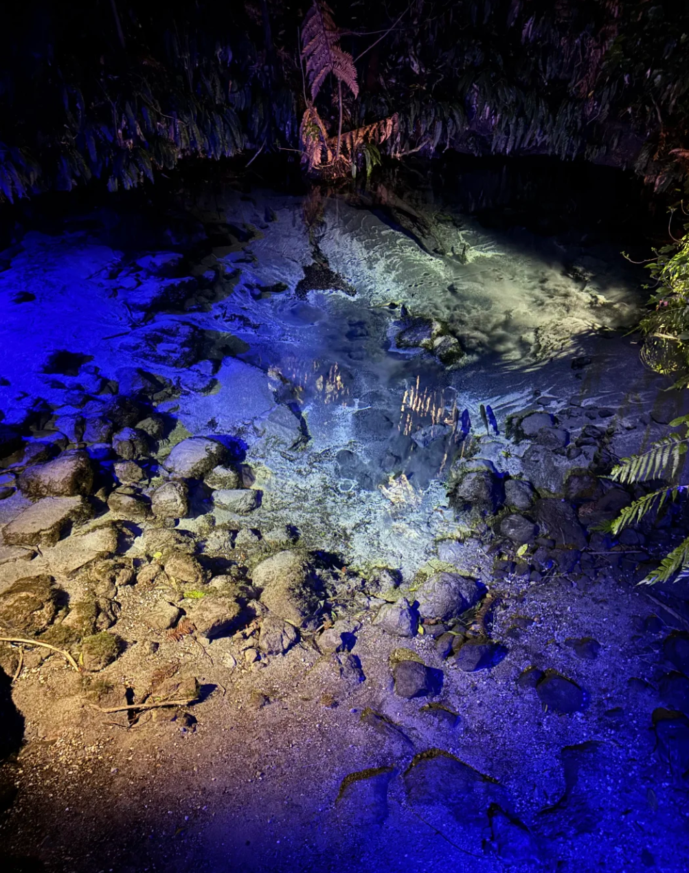 Departing from Auckland, New Zealand: Maori Cultural Village|Agrodome [Adjustable Itinerary]