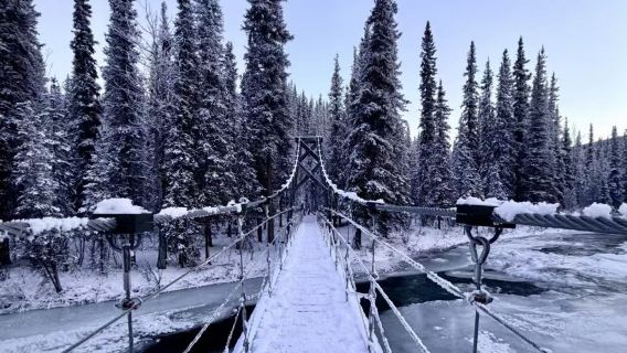 美國費爾班克斯迪納利國家公園一日遊【中文包車+行程定制】