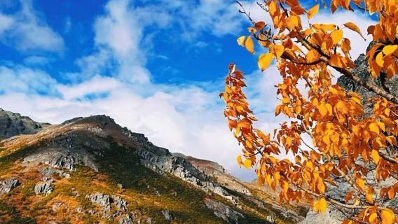 美國費爾班克斯迪納利國家公園+尼納納小鎮【中文私享定制包車】