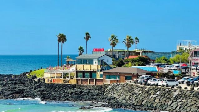 史努比樂園+水族館+涉地可支+鹹德海水浴場一日遊【包車遊】