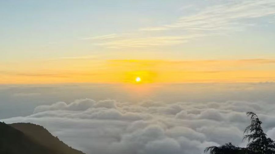 大理-雞足山一對一專屬包車服務｜登頂3248米靈山，身在雲海