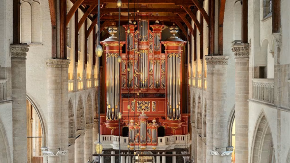 St. Lawrence Church + Kijk-Kubus Museum-house + Markthal + Kinderdijk Windmills