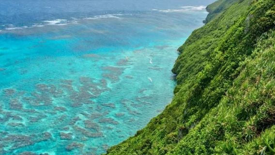 Okinawa: Cape Chinen + Okinawa World + Ryukyu Glass Village + Naminoue Beach [Chinese