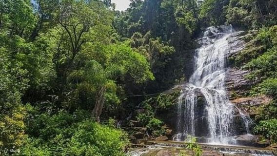Private chartered tour in Rio de Janeiro: Urca Mountain, Sugarloaf Mountain & Tijuca National Park
