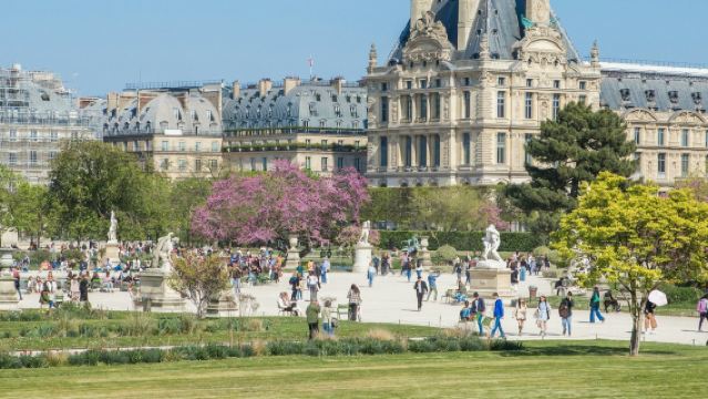 파리: 1일 주요 명소 입장권 + 교통편