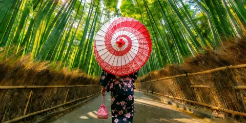 京都嵐山&奈良一日遊丨竹林小徑+渡月橋+野宮神社+奈良公園