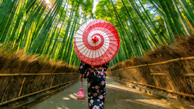 Kyoto Arashiyama & Nara 1-day tour | Bamboo Forest Path + Togetsukyō Bridge + Nonomiya-jinja Shrine + Nara Park