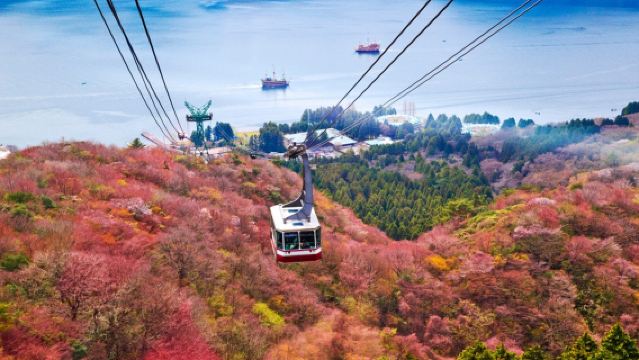 Excursión de un día a Hakone y crucero pirata en el Gran Valle Hirviente|Incluye entrada al teleférico|Experiencia en el teleférico de Hakone|Conductor chino