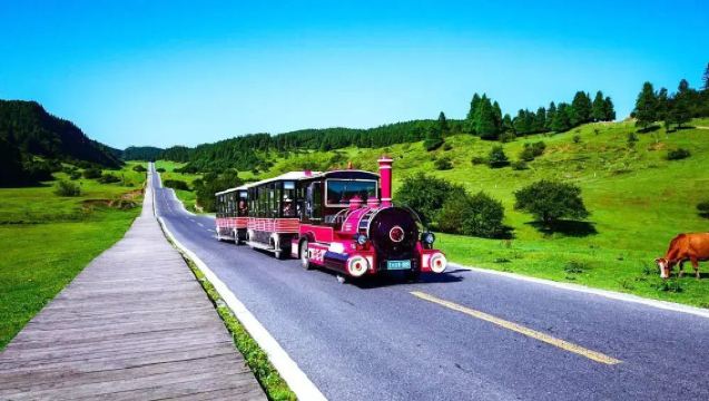 【小火車無料】重慶武隆天生三橋+龍水峡地縫+仙女山【8名様までの少人数ツアー】