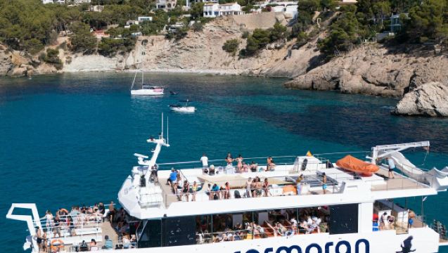 Mallorca: Dolphin Watching Cruise from Paguera