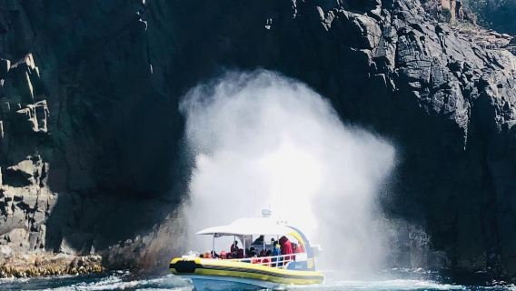 Tagesausflug nach Bruny Island, Tasmanien | Inklusive 3-stündiger Bootsfahrt & Mittagessen, Abfahrt vom Hobart Stadtzentrum