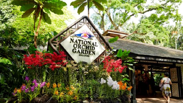 【シンガポール国立蘭園】シンガポール国立蘭花植物園-国立胡姫園-一般入場チケット