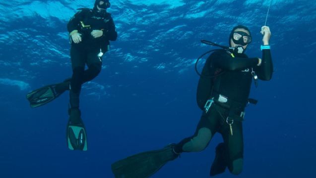 Sri LankaMirissaTemukan penyelamanSnorkeling3 Jam [Scuba Diving saat Senja di Mirissa]