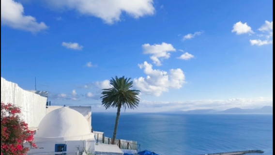 Lawatan Sewa Peribadi ke Tapak Carthage Tunis + Kampung Biru Putih + Bandar Lama Medina + Masjid Zaitun