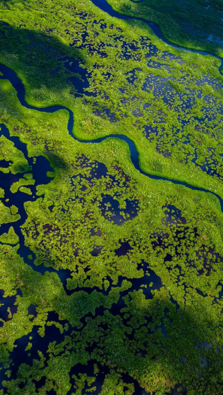 1-day tour to Miami downtown + Everglades National Park (premium small group * English-speaking group)