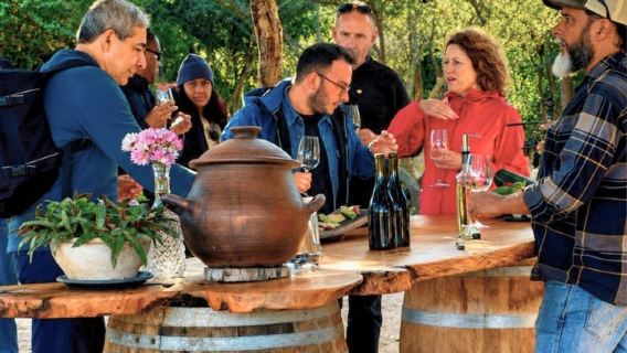 4 Exclusive & boutique wineries in Casablanca - Tanino Restaurant