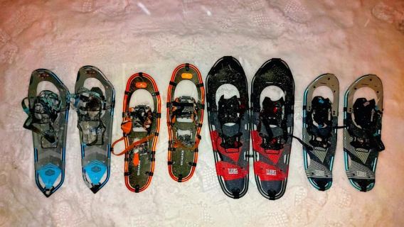Tromsø Street to Wilderness: Guided Snowshoe Hike