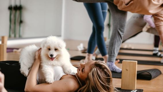 Gdańsk: Puppy Yoga Class