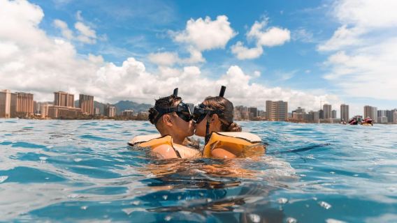 Oahu: Waikiki Turtle Snorkeling Adventure