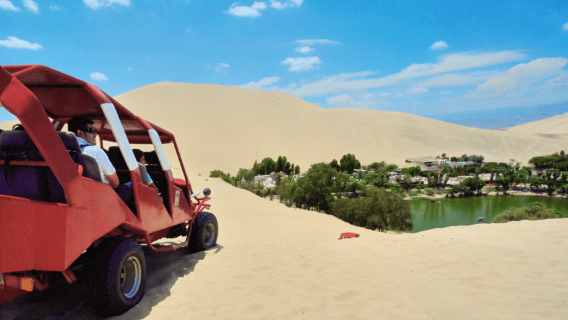 From Lima: Paracas, Ica, and Huacachina Day Tour