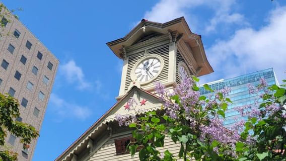 Sapporo Highlights: Golden Route Morning Guided Walking Tour