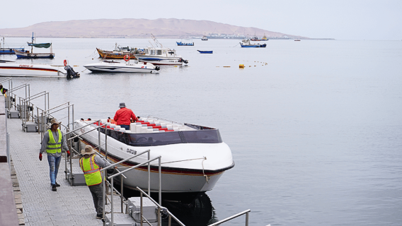 From Lima: Day guided tour to Paracas and Huacachina Oasis