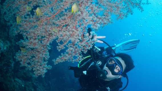 ทัวร์ 1 วัน ดำน้ำลึกที่บาหลี|เลือกได้ระหว่าง Tulamben/Padang Bai/Nusa Lembongan/ครูฝึกมืออาชีพ