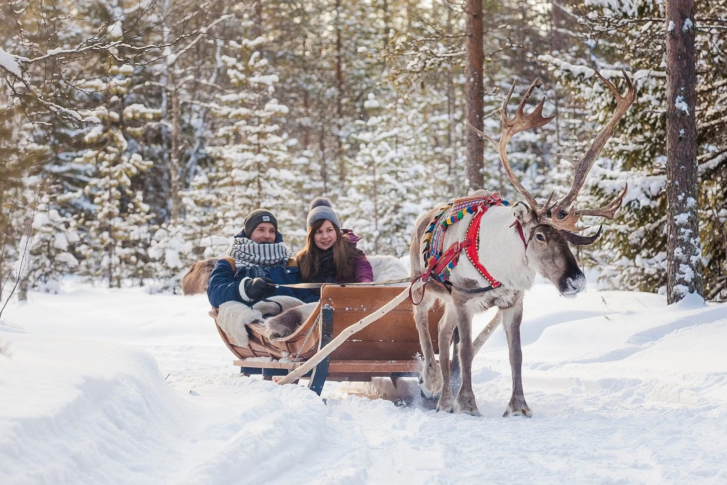 Snowmobile + Husky Sled + Reindeer Sled Experience in Rovaniemi, Finland