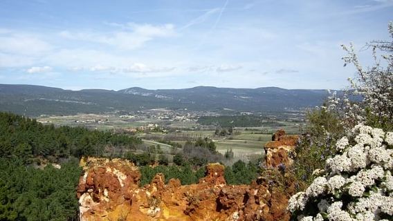 AvignonTours