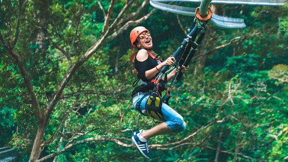 Excursión de un día a Chiang Mai JF Jungle Flight + Safari Nocturno con almuerzo incluido